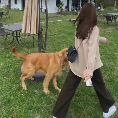 超能立方·动态漫